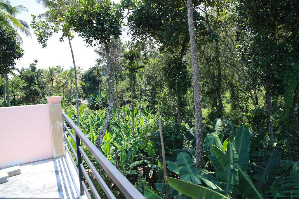 Homestay Periyar - Thekkady