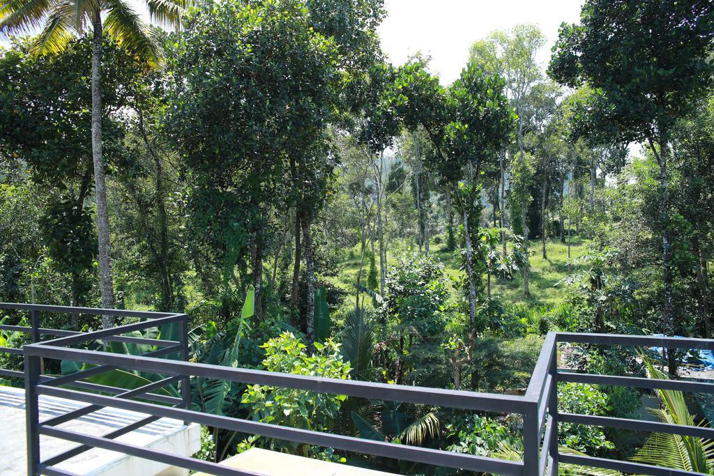 Periyar - Homestay Thekkady